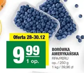 Spar Borówka amerykańska oferta