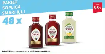 Eurocash Cash & Carry PAKIET SOPLICA SMAKI 0,1 L oferta