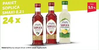 Eurocash Cash & Carry PAKIET SOPLICA SMAKI 0,2 L oferta