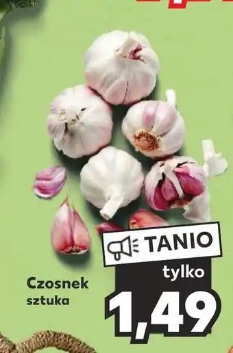 Kaufland Czosnek sztuka oferta