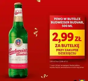Piwo budweiser