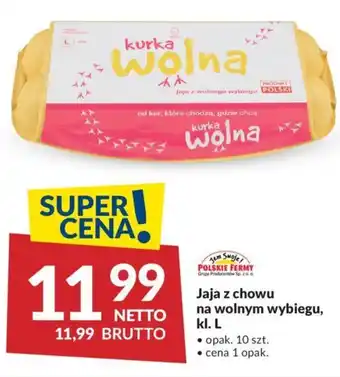 Makro Jaja z chowu na wolnym wybiegu, kl. L oferta