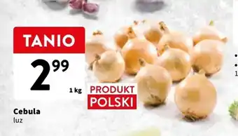 Intermarche Cebula 1kg oferta