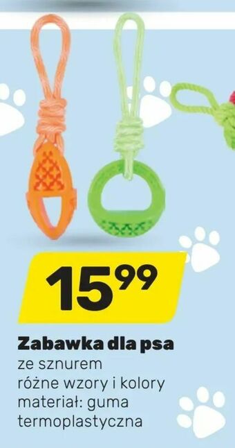 Bricomarche Zabawka dla psa oferta