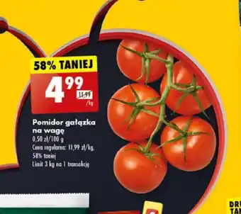 Biedronka Pomidor gałązka 1kg oferta