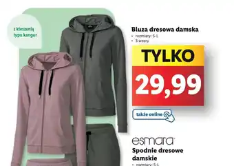 Lidl Bluza dresowa damska rozmiary: S-L oferta