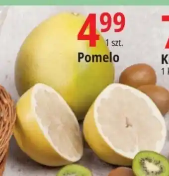E.Leclerc Pomelo oferta