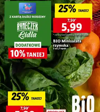 Lidl BIO Minisałata rzymska 2szt. oferta
