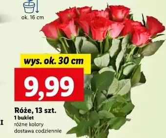 Lidl Róże 13 szt. oferta