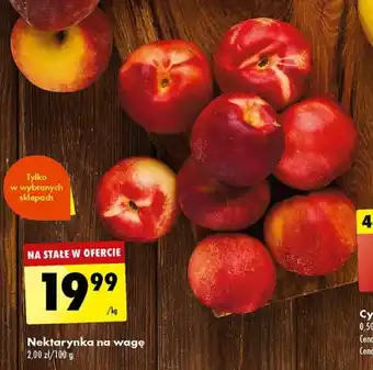 Biedronka Nektarynka na wagę 1kg oferta