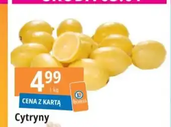 E.Leclerc Cytryny 1 kg oferta