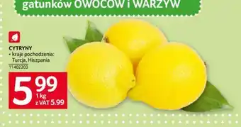 Selgros CYTRYNY 1kg oferta