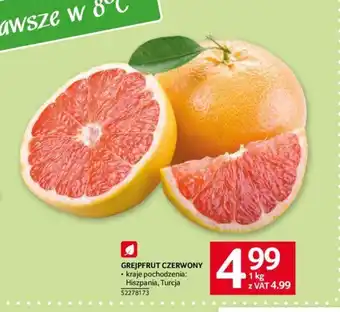 Selgros GREJPFRUT CZERWONY 1kg oferta