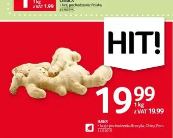 Selgros IMBIR 1kg oferta