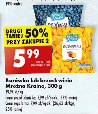 Biedronka Borówka lub brzoskwinia Mroźna Kraina, 300 g oferta