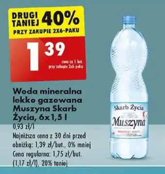 Biedronka Woda mineralna lekko gazowana Muszyna Skarb Życia, 6 x 1,5 l oferta
