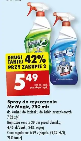 Spray do czyszczenia Mr Magic, 750 ml