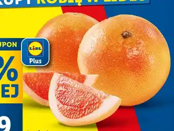 Lidl Grejpfrut oferta