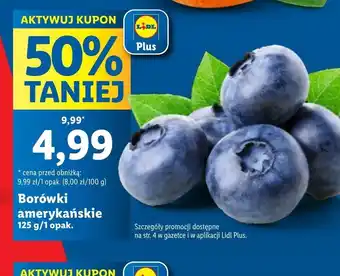 Lidl Borówki oferta