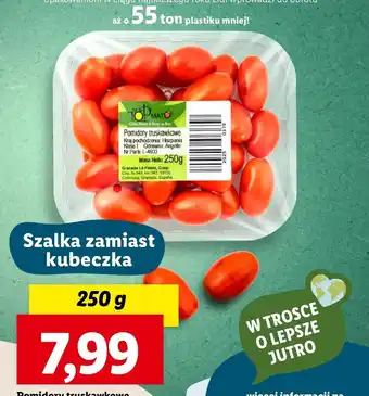 Lidl Pomidory oferta