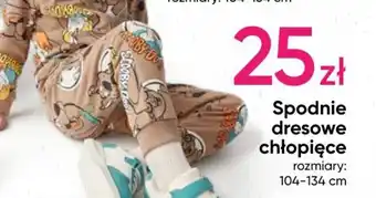 Pepco Spodnie dresowe chłopięce oferta