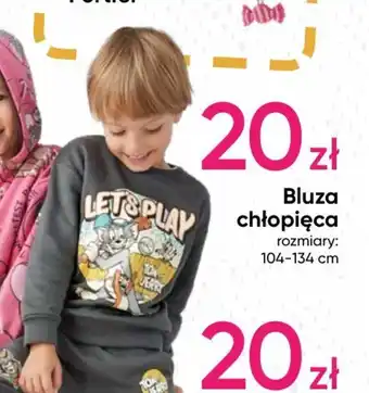Pepco Bluza chłopięca oferta