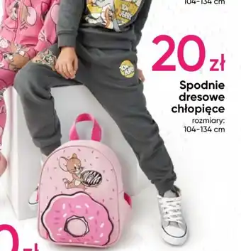 Pepco Spodnie dresowe chłopięce oferta