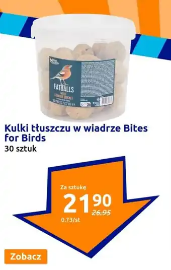 Action Kulki tłuszczu w wiadrze Bites for Birds 30 szt. oferta