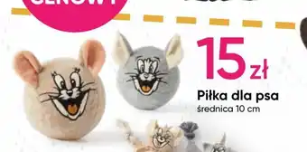 Pepco Piłka dla psa oferta