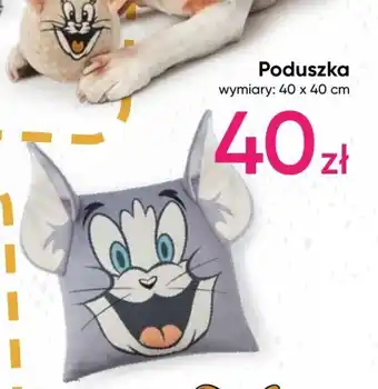 Pepco Poduszka oferta