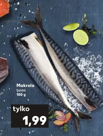 Kaufland Makrela tusza 100 g oferta