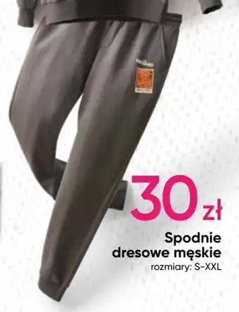 Pepco Spodnie dresowe męskie oferta