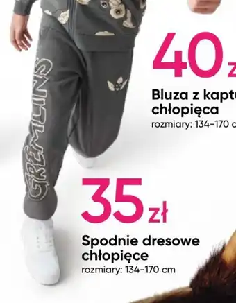 Pepco Spodnie dresowe chłopięce oferta