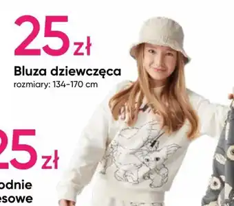 Pepco Bluza dziewczęca oferta