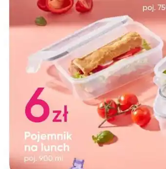 Pepco Pojemnik na lunch oferta