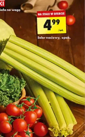 Biedronka Seler naciowy oferta