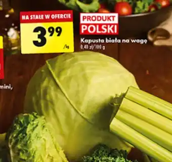 Kapusta Kapusta biała na wagę 1kg