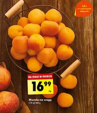 Biedronka Morela na wagę 1kg oferta