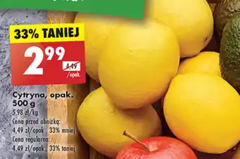 Biedronka Cytryna, opak. 500 g oferta