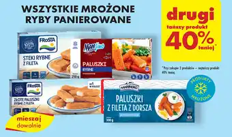 Biedronka WSZYSTKIE MROŻONE RYBY PANIEROWANE oferta