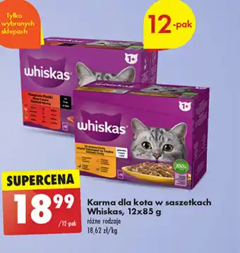 Biedronka Karma dla kota w saszetkach Whiskas, 12x85 g oferta