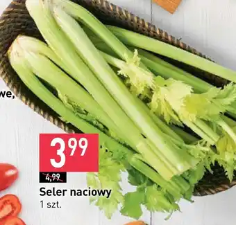 Stokrotka Seler naciowy oferta