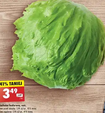 Biedronka Sałata lodowa oferta