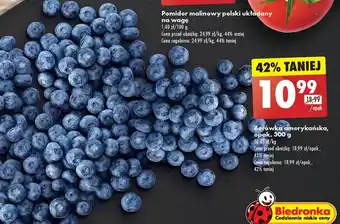 Biedronka Borówki oferta