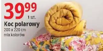 E.Leclerc Koc polarowy 200 x 220cm oferta