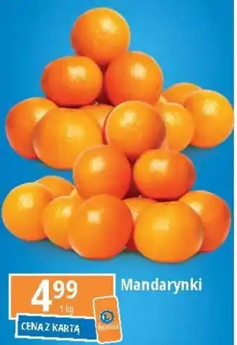 E.Leclerc Mandarynki 1 kg oferta