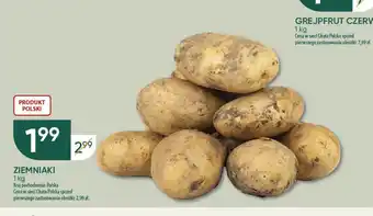 Chata Polska ZIEMNIAKI 1kg oferta