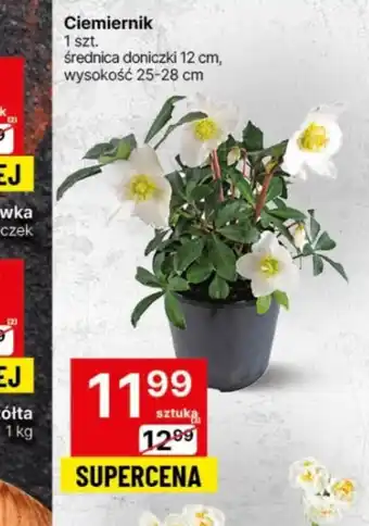 Delikatesy Centrum Kwiat oferta