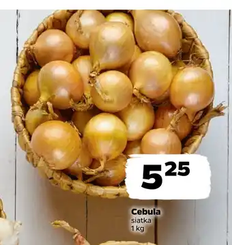 Netto Cebula oferta