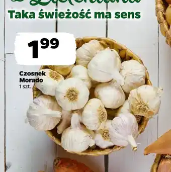 Netto Czosnek morado oferta